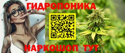 шишки Кандалакша