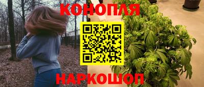 шишки Кандалакша