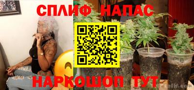 шишки Кандалакша