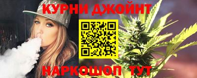 МДПВ Камышлов