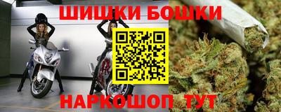 шишки Кандалакша