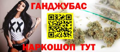 шишки Кандалакша
