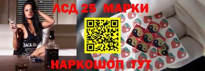 шишки Кандалакша