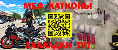 шишки Кандалакша